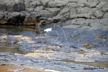 Un paseo con ensoñación en el inicio del verano por la costa de Telde (Reportaje gráfico Jesús Ruiz Mesa)